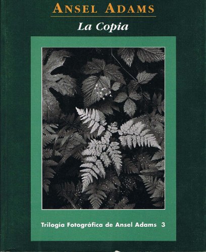 Stock image for LA COPIA for sale by LIBRERA COCHERAS-COLISEO