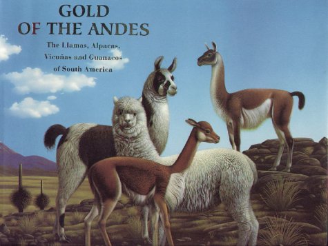 Stock image for GOLD OF THE ANDES: THE LLAMAS, ALPACAS, VICUNAS AND GUANACOS OF SOUTH AMERICA. IN TWO VOLUMES. for sale by Burwood Books