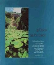 Stock image for El can del ro Lobos for sale by Librera Prez Galds