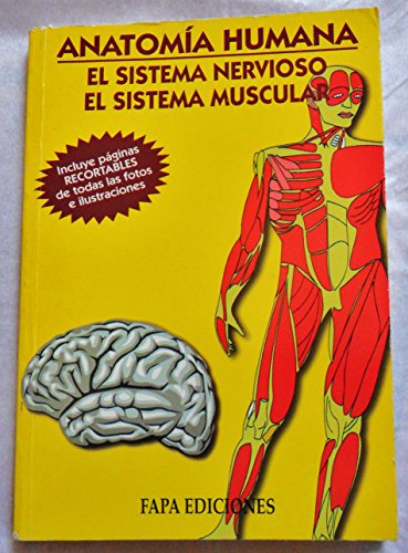 Imagen de archivo de El sistema nervioso. El sistema muscular / a la venta por Puvill Libros