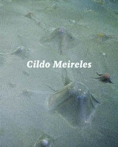 Cildo Meireles (9788489771734) by Anjos, Moacir Dos