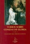 Beispielbild fr YERROS SOBRE CENIZAS DE GLORIA zum Verkauf von Hilando Libros