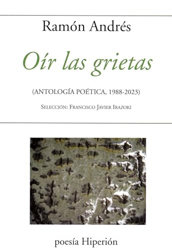 Imagen de archivo de OIR LAS GRIETAS a la venta por Siglo Actual libros