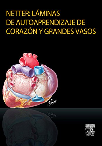 Imagen de archivo de Laminas de autoaprendizaje de corazon y grandes vasos a la venta por Iridium_Books