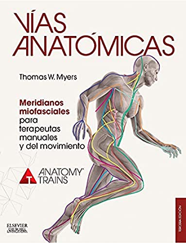 9788490228111: Vas anatmicas : meridianos miofaciales para terapeutas manuales y del movimiento