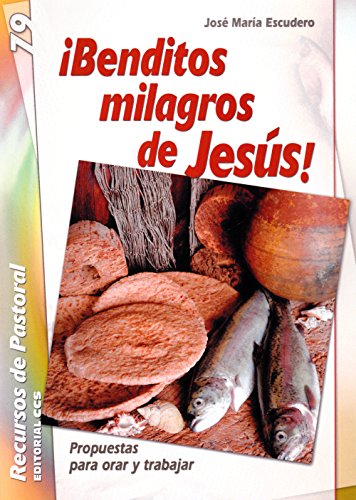 Imagen de archivo de BENDITOS MILAGROS DE JESUS! PROPUESTAS PARA ORAR Y TRABAJAR a la venta por KALAMO LIBROS, S.L.