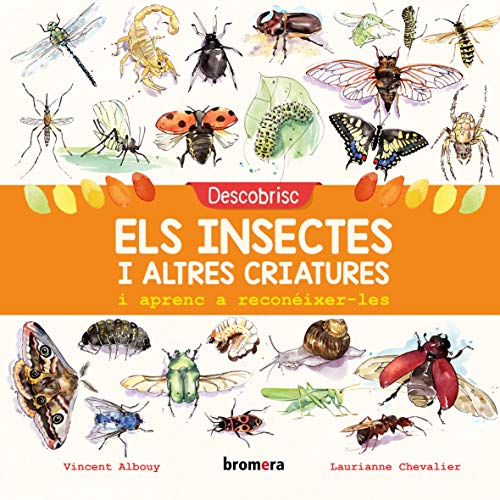 Beispielbild fr Descobrisc els insectes i altres criatures i aprenc a reconixer-les zum Verkauf von AG Library