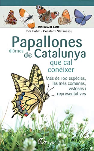 Imagen de archivo de Papallones dirnes de Catalunya . que cal conixer a la venta por AG Library