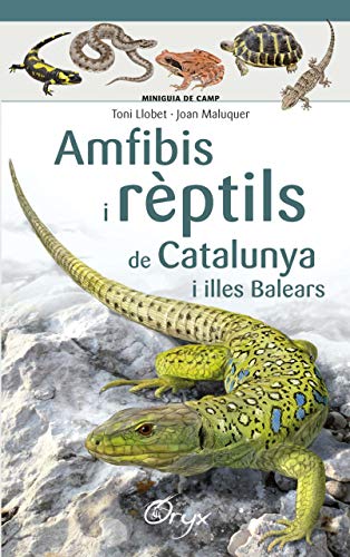 9788490346792: Amfibis I Rèptils De Catalunya I Illes Balears (Miniguia de camp)