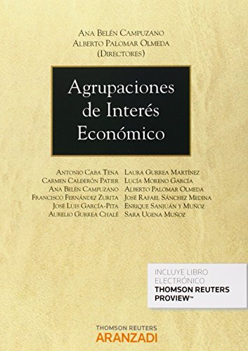 Beispielbild fr Agrupaciones de Inters Econmico zum Verkauf von OM Books