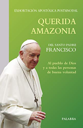 Beispielbild fr Querida Amazonia: Exhortacin apostlica postsinodal (Documentos MC) zum Verkauf von medimops