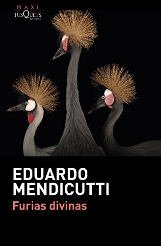 Furias divinas (MAXI) - Eduardo Mendicutti