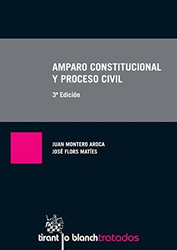 9788490861073: Amparo Constitucional y Proceso Civil