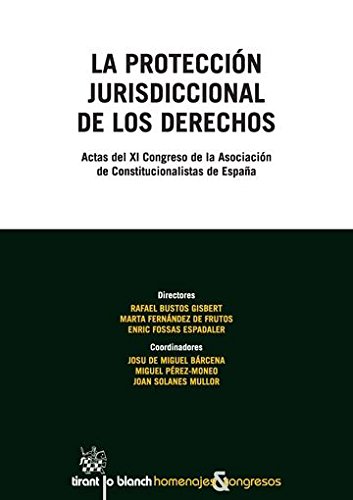 La protección jurisdiccional de los derechosActas del XI Congreso de la Asociación de Constitucio...