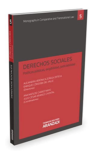 Stock image for DERECHOS SOCIALES (SLO PAPEL) POLTICAS PBLICAS, EXIGIBILIDAD, JUSTICIABILIDAD for sale by Zilis Select Books