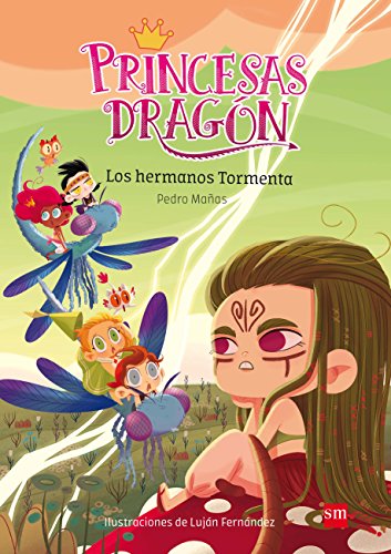 Imagen de archivo de Princesas Drag n 5: Los hermanos Tormenta a la venta por Better World Books: West