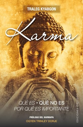 Stock image for Karma.Qu? es, qu? no es, por qu? es importante (ESPIRITUALIDAD Y VIDA INTERIOR) (Spanish Edition) for sale by SecondSale