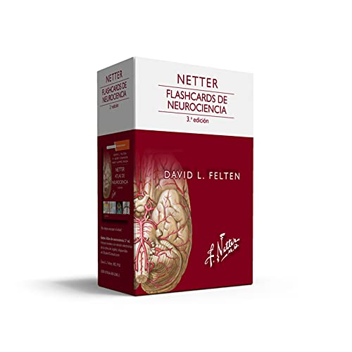 Stock image for netter flashcards de neurociencia 3ra edicion felten for sale by DMBeeBookstore