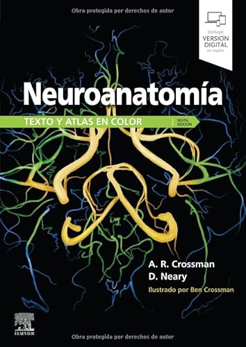 Stock image for Neuroanatoma. Texto y atlas en color for sale by Books Unplugged