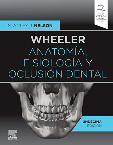 Imagen de archivo de Wheeler. Anatoma, fisiologa y oclusin dental (11 ed.) a la venta por Agapea Libros