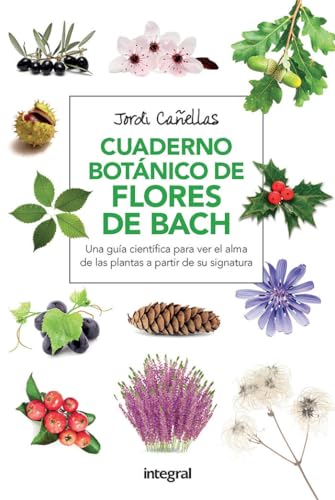 Imagen de archivo de CUADERNO BOTNICO DE LAS FLORES DE BACH 2 ED. a la venta por Zilis Select Books