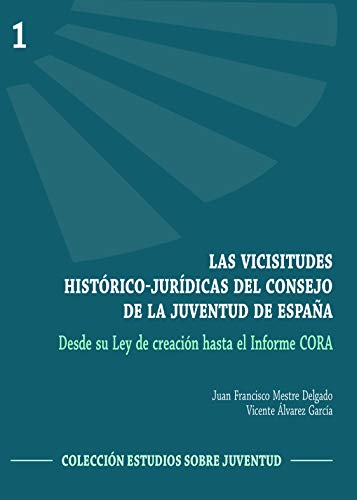 Stock image for Las vicisitudes histrico-jurdicas del Consejo de la Juventud de Espaa for sale by AG Library