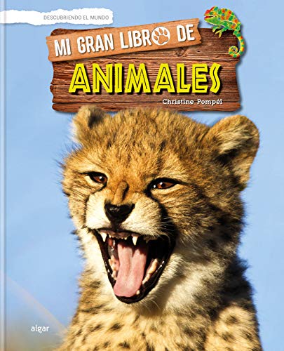 Beispielbild fr Mi gran libro de animales (Descubriendo el mundo, Band 1) zum Verkauf von medimops