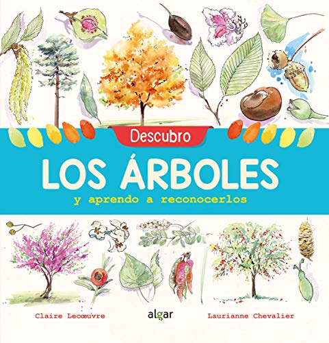 Beispielbild fr DESCUBRO LOS ARBOLES Y APRENDO A RECONOCERLOS. zum Verkauf von KALAMO LIBROS, S.L.
