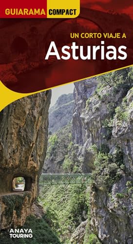 Stock image for ASTURIAS. for sale by KALAMO LIBROS, S.L.