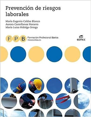 Imagen de archivo de FPB Prevencin de riesgos laborales (Formacin Profesional Bsica) a la venta por medimops