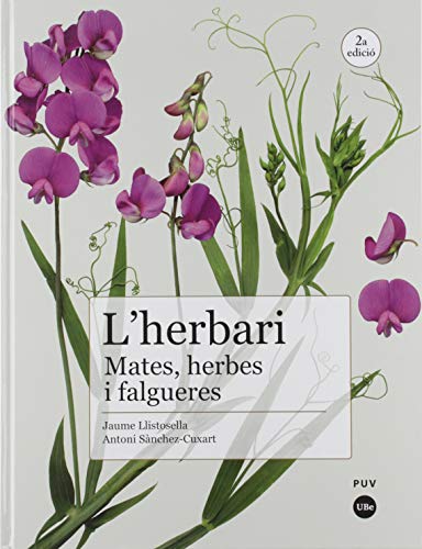 Imagen de archivo de L'HERBARI. MATES, HERBES I FALGUERES a la venta por AG Library