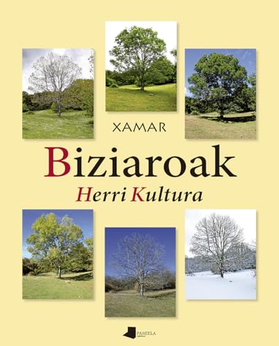 Imagen de archivo de Biziaroak. Herri Kultura a la venta por Agapea Libros