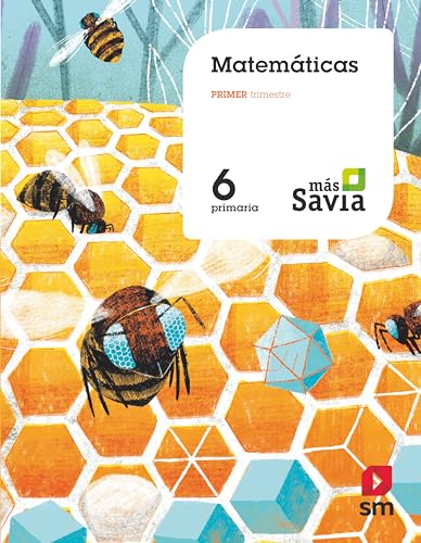 Stock image for Matemticas. 6 Primaria. Ms Savia for sale by medimops
