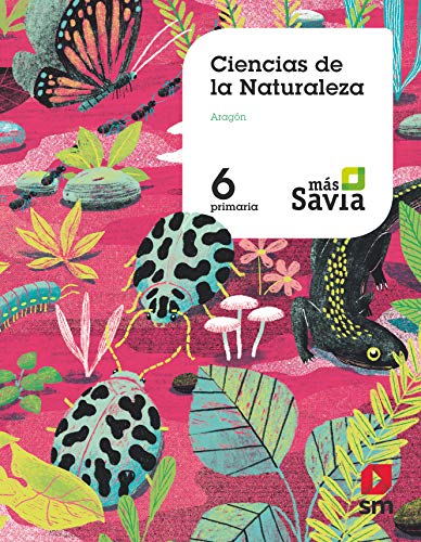 Beispielbild fr Ciencias de la naturaleza. 6 Primaria. Ms Savia. Aragn zum Verkauf von medimops