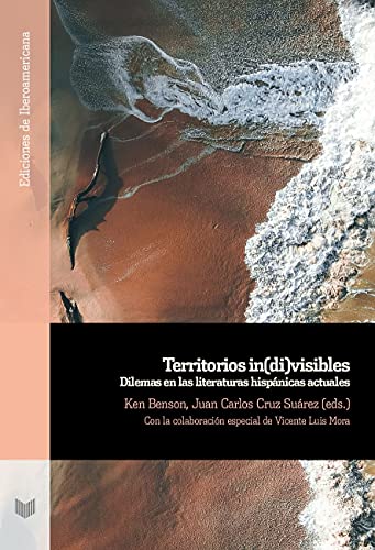 Imagen de archivo de Territorios in(di)visibles : dilemas en las literaturas hispnicas actuales (Ediciones de Iberoamericana, Band 123) a la venta por Buchpark