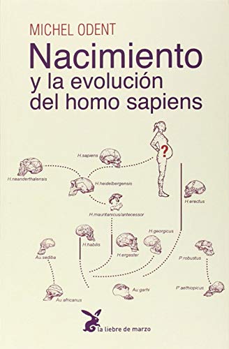 Beispielbild fr NACIMIENTO Y LA EVOLUCIN DEL HOMO SAPIENS zum Verkauf von KALAMO LIBROS, S.L.