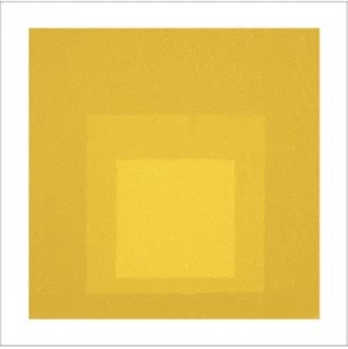 9788492480388: Josef Albers: Homage to the Square