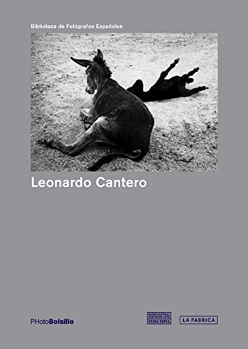 Stock image for LEONARDO CANTERO for sale by Libros nicos