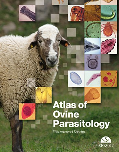 9788492569038: Atlas of Ovine Parasitology