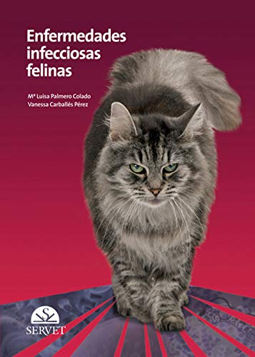 9788492569380: Enfermedades infecciosas felinas (Spanish Edition)