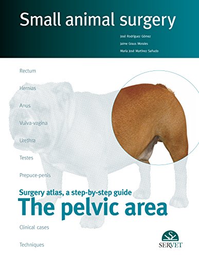 9788492569465: The Pelvic Area - Small animal surgery