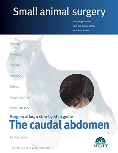 Stock image for The caudal abdomen. Small animal surgery for sale by GF Books, Inc.