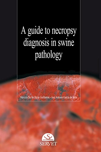 Stock image for A guide to necropsy diagnosis in swine pathology for sale by Iridium_Books