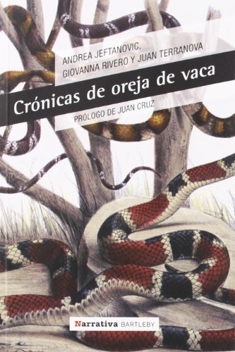 Imagen de archivo de CRONICAS DE OREJA DE VACA a la venta por KALAMO LIBROS, S.L.