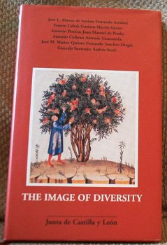 Stock image for The Image of Diversity for sale by Lowry's Books