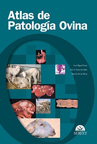 Stock image for Atlas de patologa ovina for sale by AG Library