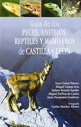 Imagen de archivo de GUA DE LOS PECES, ANFIBIOS, REPTILES Y MAMFEROS DE CASTILLA Y LEN a la venta por Librera Rola Libros