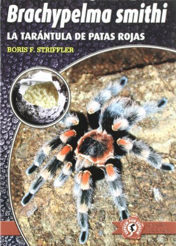 Stock image for Brachypelma smithii : la tarntula de for sale by Iridium_Books