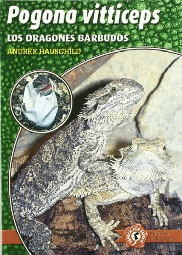 Imagen de archivo de Pogona vitticeps - los dragones barbudos a la venta por Itziar Arranz Libros & Dribaslibros