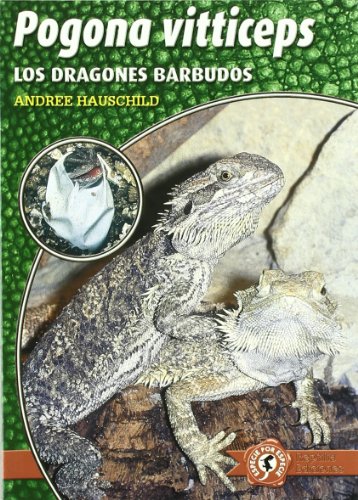 Stock image for Pogona vitticeps - los dragones barbudos for sale by Itziar Arranz Libros & Dribaslibros